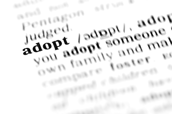 adopt (the dictionary project)